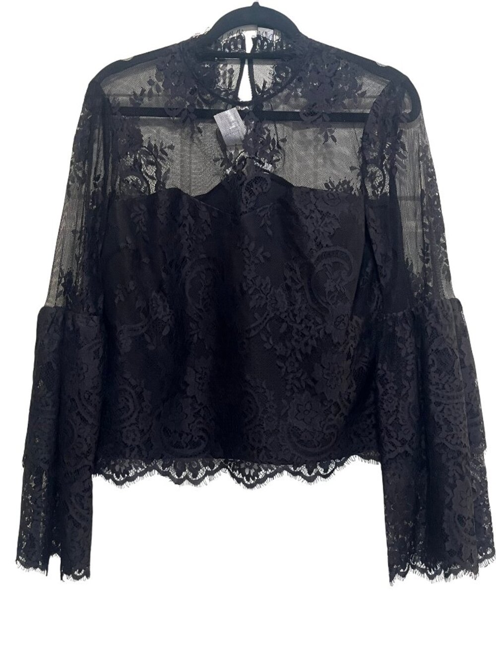 Cupcakes & Cashmere Davey Lace Blouse